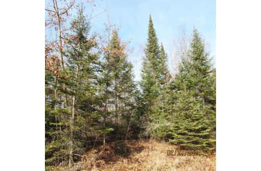 25.8 ACRES Adams Lane, Tomahawk, WI 54487