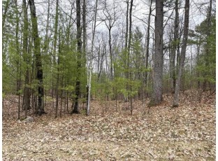 LOT 2 Lake Yawkey Drive Hazelhurst, WI 54531