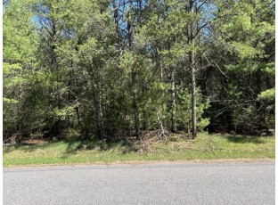 LOT 47 Dubay Pines Subdivision ALTENBURG ROAD Junction City, WI 54443