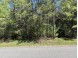 LOT 47 Dubay Pines Subdivision ALTENBURG ROAD Junction City, WI 54443