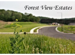 611 Forest View Drive Holmen, WI 54636-5901