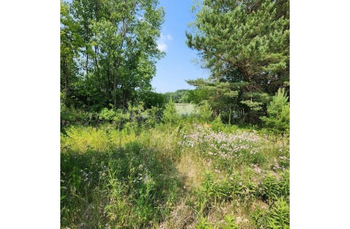 N50W34548 Road P, Okauchee, WI 53069-9742