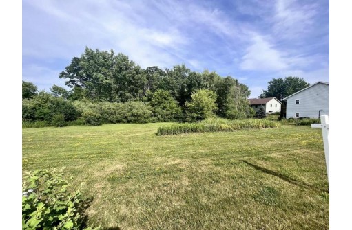 LT27 Wild Goose Lane, Sheboygan Falls, WI 53085