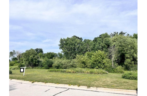 LT27 Wild Goose Lane, Sheboygan Falls, WI 53085