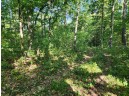 54008 Valentine Lane, Wauzeka, WI 53826