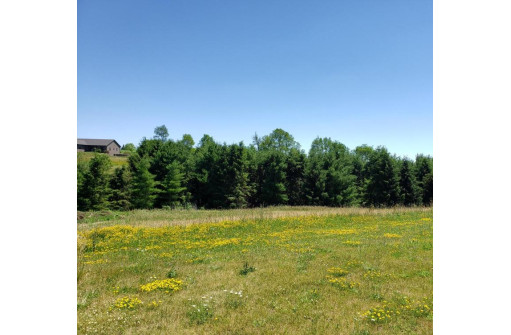 LOT 40 Crossing Meadows Drive, Viroqua, WI 54665-0000