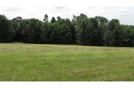 LOT 41 Crossing Meadows Drive, Viroqua, WI 54665-0000