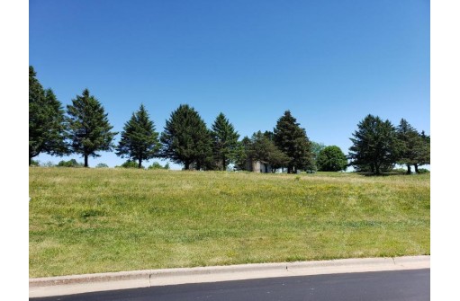 LOT 29 16th Fairway Drive, Viroqua, WI 54665-0000