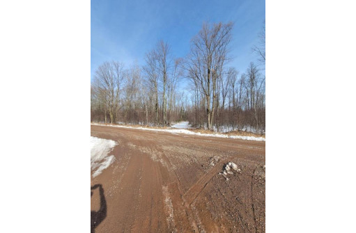 LT1 Wood Creek Avenue, Rib Lake, WI 54470