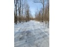 LT1 Wood Creek Avenue, Rib Lake, WI 54470