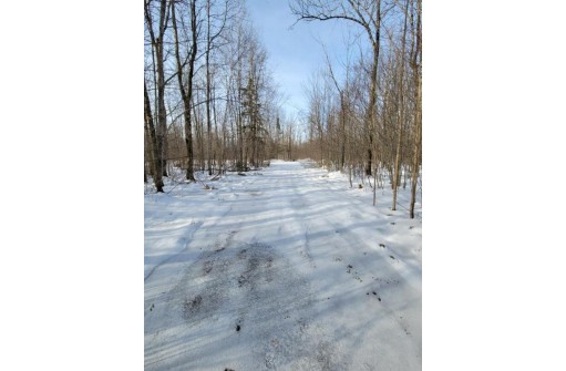 LT1 Wood Creek Avenue, Rib Lake, WI 54470