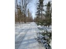 LT1 Wood Creek Avenue, Rib Lake, WI 54470