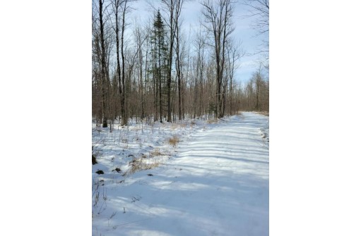 LT1 Wood Creek Avenue, Rib Lake, WI 54470