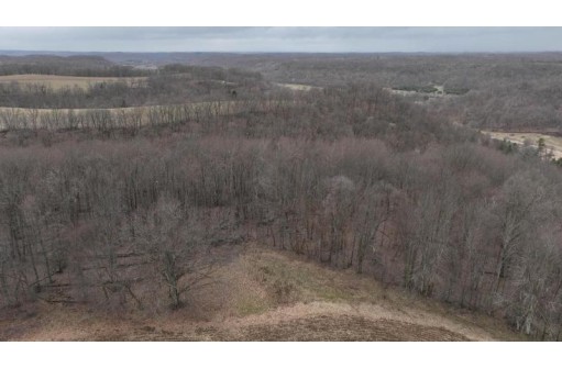 000 Bugbee Hollow Road, Hillsboro, WI 54634