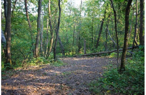 LOT 22 Deer Court LOT 23, Stoddard, WI 54658