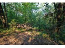 LOT 22 Deer Court LOT 23, Stoddard, WI 54658