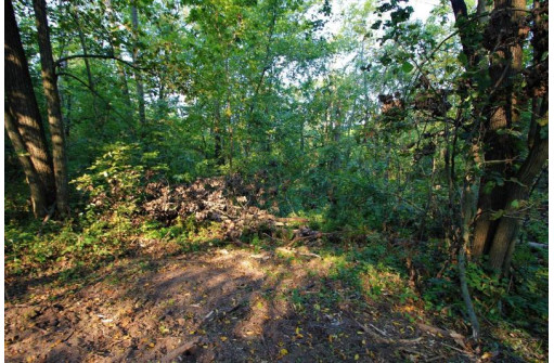 LOT 22 Deer Court LOT 23, Stoddard, WI 54658