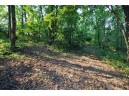 LOT 22 Deer Court LOT 23, Stoddard, WI 54658