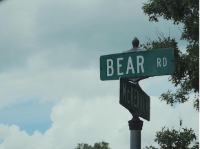 00 Bear Road