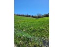 LOT 1 State Rd 95, Arcadia, WI 54612-8238