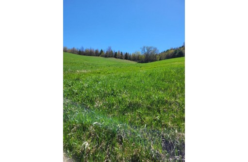 LOT 1 State Rd 95, Arcadia, WI 54612-8238