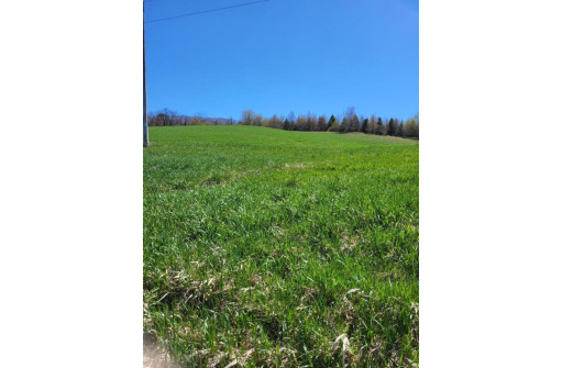 LOT 1 State Rd 95, Arcadia, WI 54612-8238