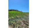 LOT 1 State Rd 95, Arcadia, WI 54612-8238