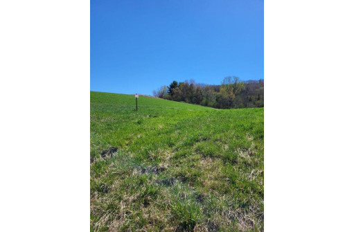 LOT 2 State Road 95, Arcadia, WI 54612-8238