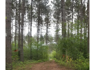 LT6-7 Towering Pines Lane Rhinelander, WI 54501