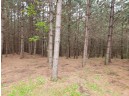 LT6&7 Towering Pines Lane, Rhinelander, WI 54501