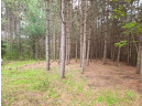 LT6&7 Towering Pines Lane, Rhinelander, WI 54501