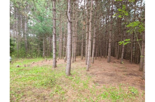 LT6&7 Towering Pines Lane, Rhinelander, WI 54501