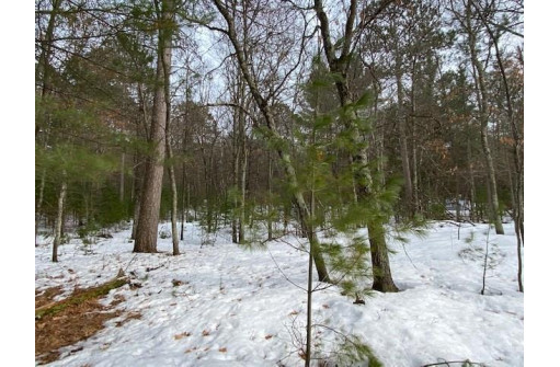 W6949 Narrows Trail, Minong, WI 54859