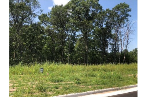 LOT 48 Woodlands Lll, Eau Claire, WI 54703