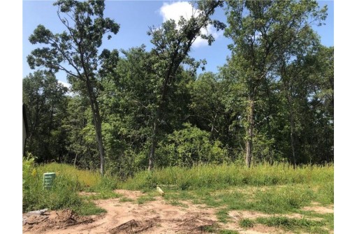 LOT 48 Woodlands Lll, Eau Claire, WI 54703