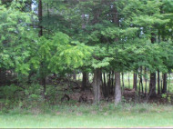 3393 Forest Glen (lot 13)