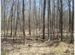 LOT # 93 AND 94 Maple Court Birchwood, WI 54817