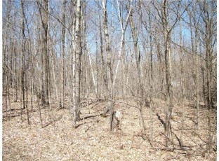LOT#99 AND 100 Woods (spruce) Avenue Birchwood, WI 54817
