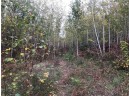 80 ACRES Namakagon Sunset Road, Cable, WI 54821