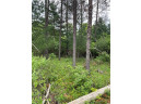 LOT 7 112th Street, Chippewa Falls, WI 54729