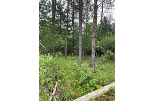 LOT 7 112th Street, Chippewa Falls, WI 54729