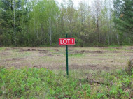 LOT 1 Beaver Dam Rd