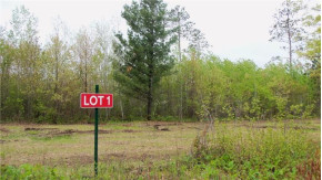 LOT 1 Beaver Dam Rd