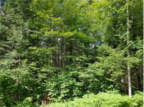 LOT 15 Hemlock Court