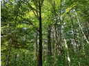 LOT 15 Hemlock Court, Cable, WI 54821