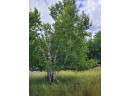 XXX LOT 2.8 Tony Street, Osceola, WI 54020