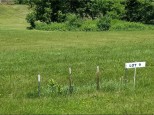 LOT 9 Nelson Drive Elmwood, WI 54740