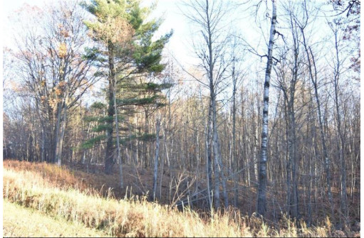 11 ACRES Chippewa Trail, New Auburn, WI 54757