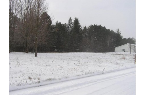 000 Shady Lane, Ladysmith, WI 54848