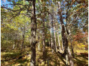 LOT 22 Golden Eagle Trail, Barnes, WI 54873